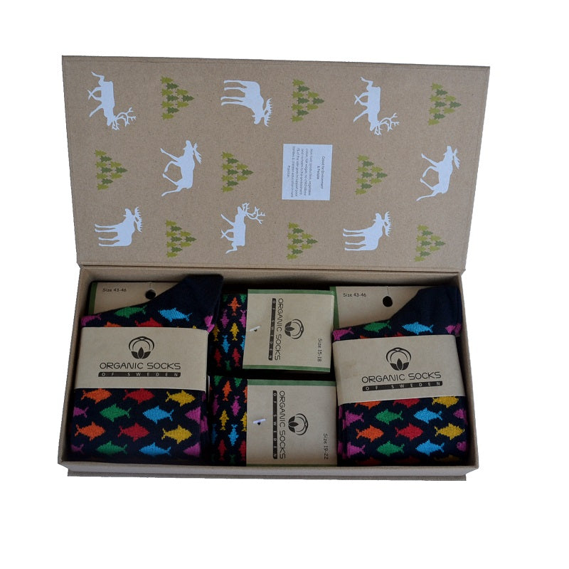 Family Box Strömlund